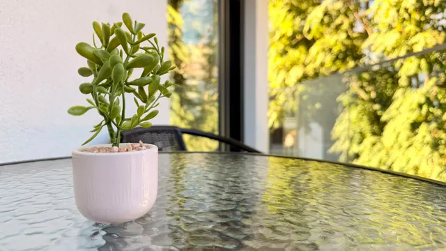 Masă de sticlă pe balcon, cu o plantă și copaci în fundal, la Icon Studio, București