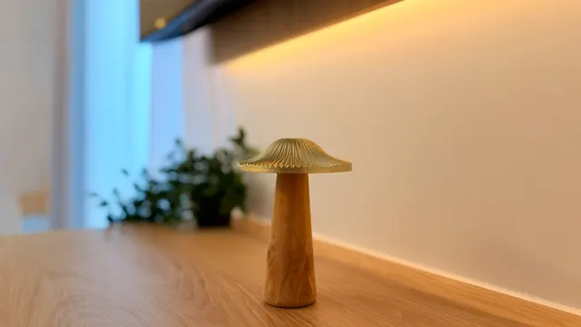 Lampă din lemn în formă de ciupercă, pe un raft luminat, la Icon Studio, București